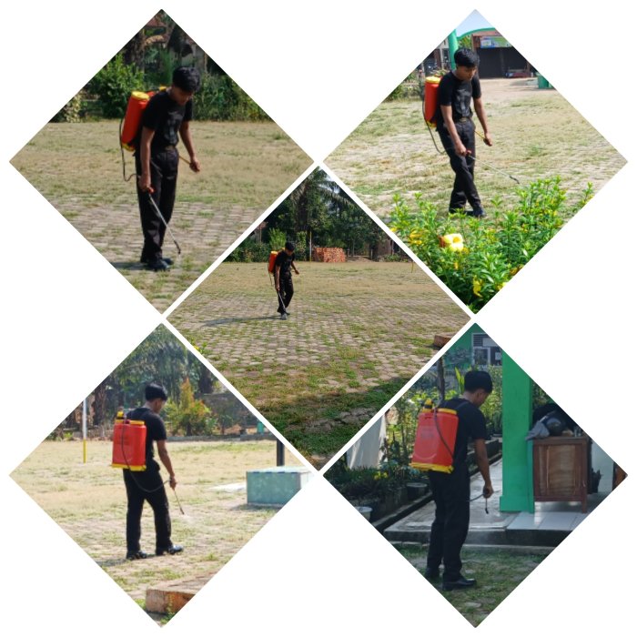 Petugas MIN 2 Muaro Jambi Semprot Rumput Saat Kabut Tipis