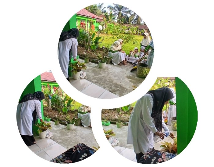 Guru MIN 2 Muaro Jambi Rawat dan Hiasi Madrasah Dengan Tanaman Bunga