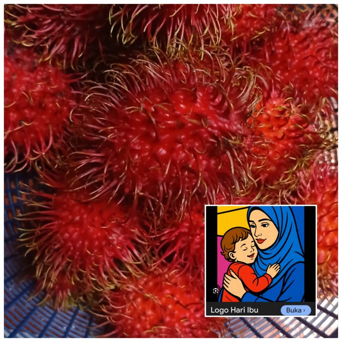 MIN 2 Muaro Jambi Peringati Hari Ibu dengan Pembagian Rambutan MIN 2 Muaro Jambi Peringati Hari Ibu dengan Pembagian Rambutan