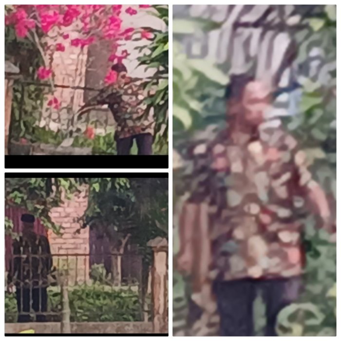 Staf MIN 2 Muaro Jambi Pangkas Tanaman Sambut Liburan