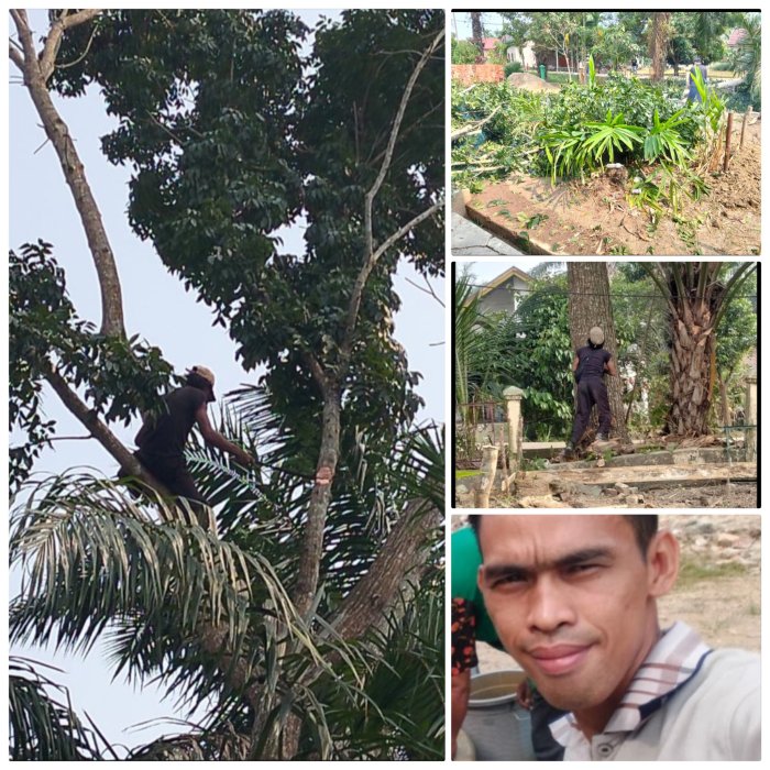 Wakil Kepala Kesiswaan MIN 2 Muaro Jambi Awasi Penebangan Pohon