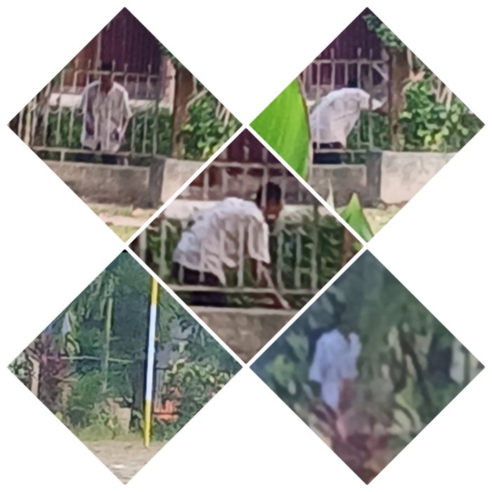 Petugas Outsourcing MIN 2 Muaro Jambi Bersihkan  Sekitar Gerbang Sekolah