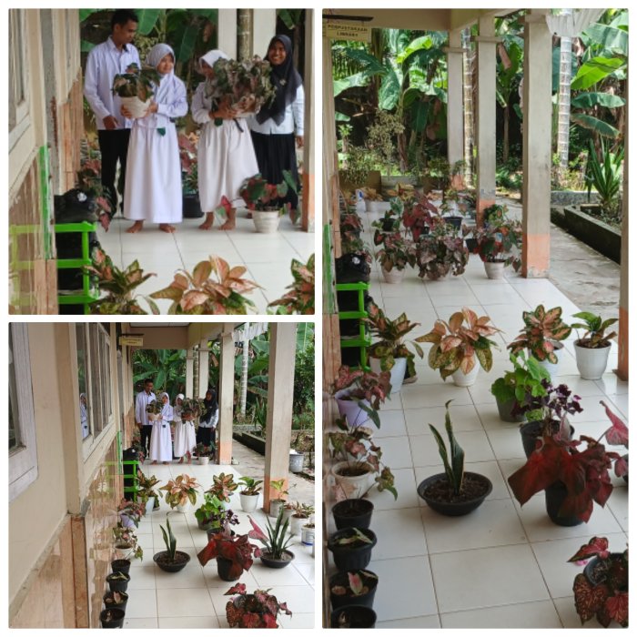 Siswa Kelas 5A Madrasah Bangun Taman Sekolah Siswa Kelas 5A Madrasah Bangun Taman Sekolah