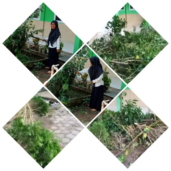 Staf MIN 2 Muaro Jambi Perindah Nuansa Lingkungan Madrasah Staf MIN 2 Muaro Jambi Perindah Nuansa Lingkungan Madrasah