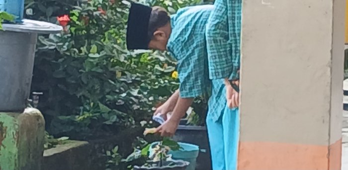 Kenzi Siswa MIN 2 Muaro Jambi Rawat Tanaman Sekolah Kenzi Siswa MIN 2 Muaro Jambi Rawat Tanaman Sekolah