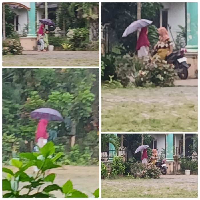 Hujan Ringan Tidak Surutkan Semangat Belajar di MIN 2 Muaro Jambi Hujan Ringan Tidak Surutkan Semangat Belajar di MIN 2 Muaro Jambi