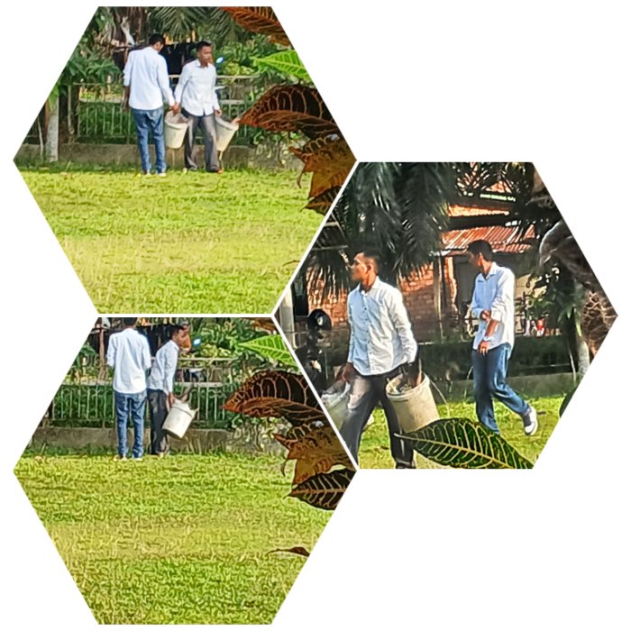 Dua Tenaga OutSourcing aga Kebersihan MIN 2 Muaro Jambi