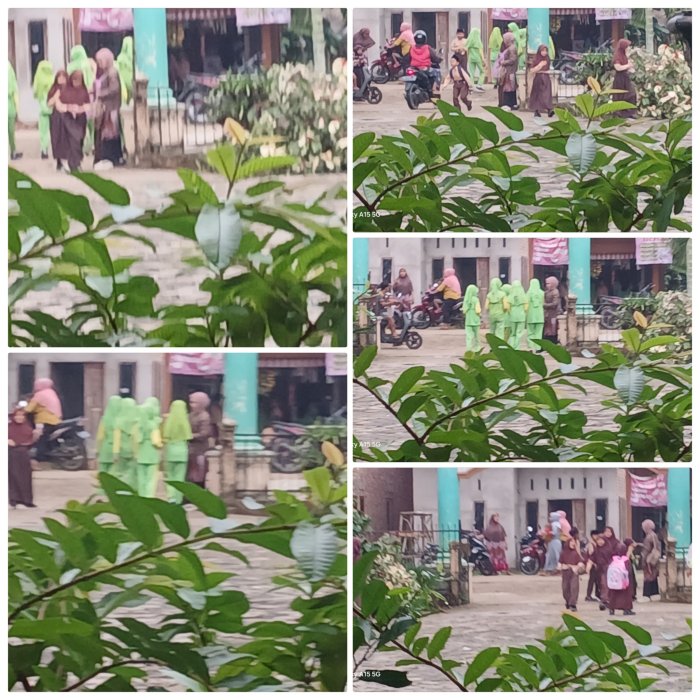 Wali Kelas 2A MIN 2 Muaro Jambi Sambut Siswa Setiap Pagi Wali Kelas 2A MIN 2 Muaro Jambi Sambut Siswa Setiap Pagi