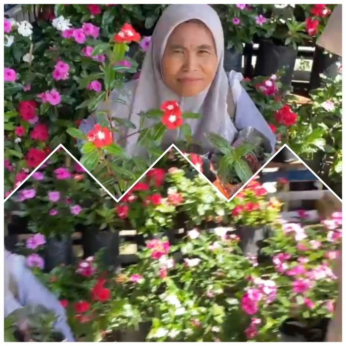 Staf MIN 2 Muaro Jambi Percantik Taman Sekolah