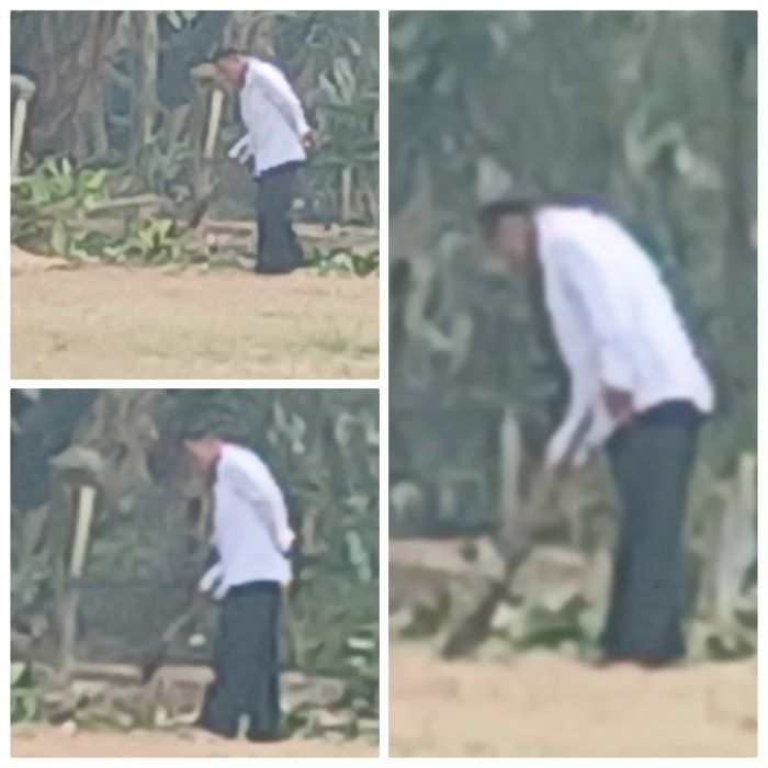 Wali Kelas 5 MIN 2 Muaro Jambi Gelar Aksi Bersih-Bersih Wali Kelas 5 MIN 2 Muaro Jambi Gelar Aksi Bersih-Bersih