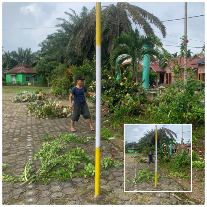 Nizarlis guru mapel Min 2 Muaro Jambi Aksi tebas dan rapikan Tanaman