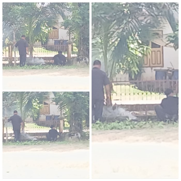 MIN 2 Muaro Jambi Lakukan Pembakaran Sampah Tebasan Taman