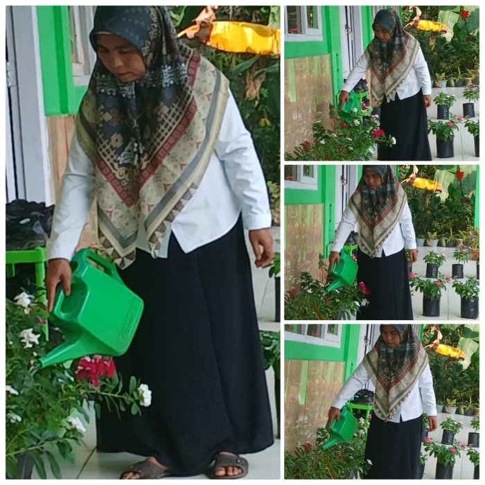Sasmita staf MIN 2 Muaro Jambi Rawat Tanaman Sekitar Kelas