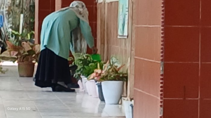 Musyaropah Guru MIN 2 Muaro Jambi Pecinta Tanaman Hias Musyaropah Guru MIN 2 Muaro Jambi Pecinta Tanaman Hias