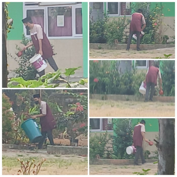 Wali kelas 6A MIN 2 Muaro Jambi Rutin Rawat Taman Depan Kelas Wali kelas 6A MIN 2 Muaro Jambi Rutin Rawat Taman Depan Kelas
