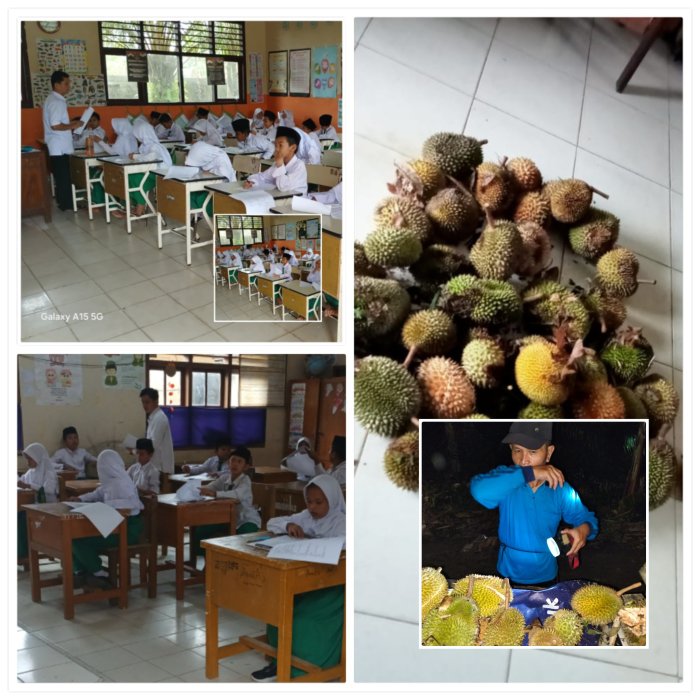 Guru MIN 2 Muaro Jambi Gelar Edukasi Buah Durian Guru MIN 2 Muaro Jambi Gelar Edukasi Buah Durian