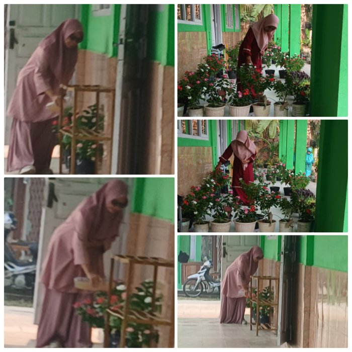 Guru dan staf MIN 2 Muaro Jambi Tetap Rawat Tanaman Saat Kabut Asap