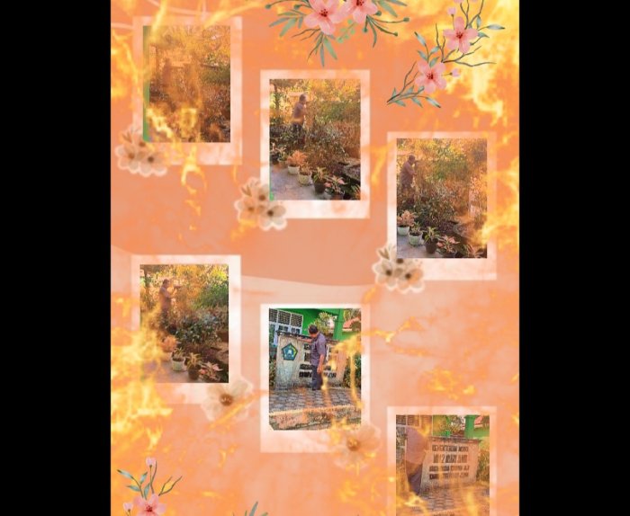 Staf MIN 2 Muaro Jambi Bersihkan Papan Nama Madrasah Staf MIN 2 Muaro Jambi Bersihkan Papan Nama Madrasah