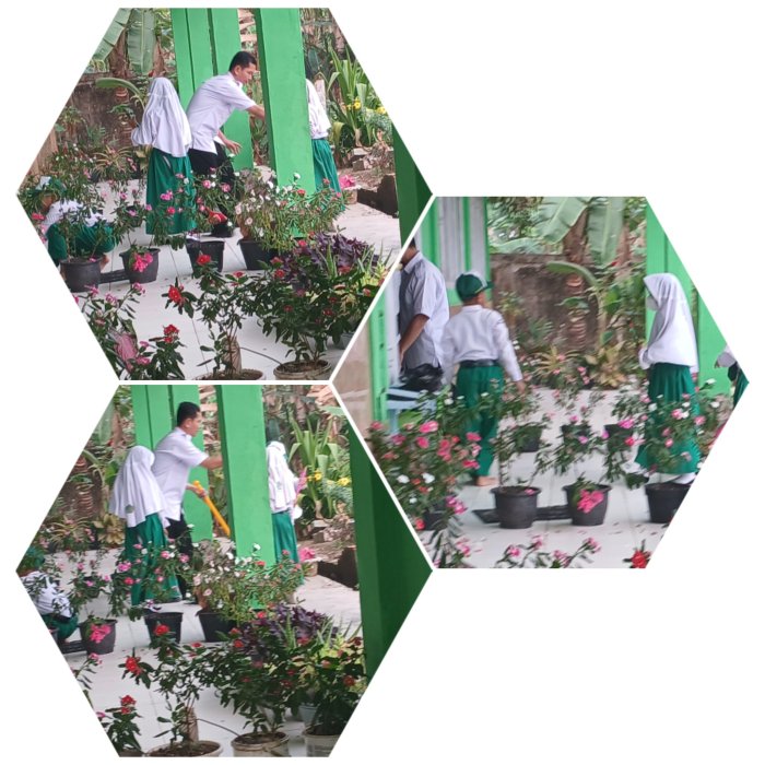 Wali Kelas 3B MIN 2 Muaro Jambi Ajak Siswa Jaga Kebersihan Wali Kelas 3B MIN 2 Muaro Jambi Ajak Siswa Jaga Kebersihan