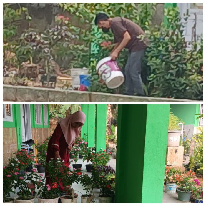 Guru dan Staf MIN 2 Muaro Jambi Rawat Tanaman Hias Guru dan Staf MIN 2 Muaro Jambi Rawat Tanaman Hias