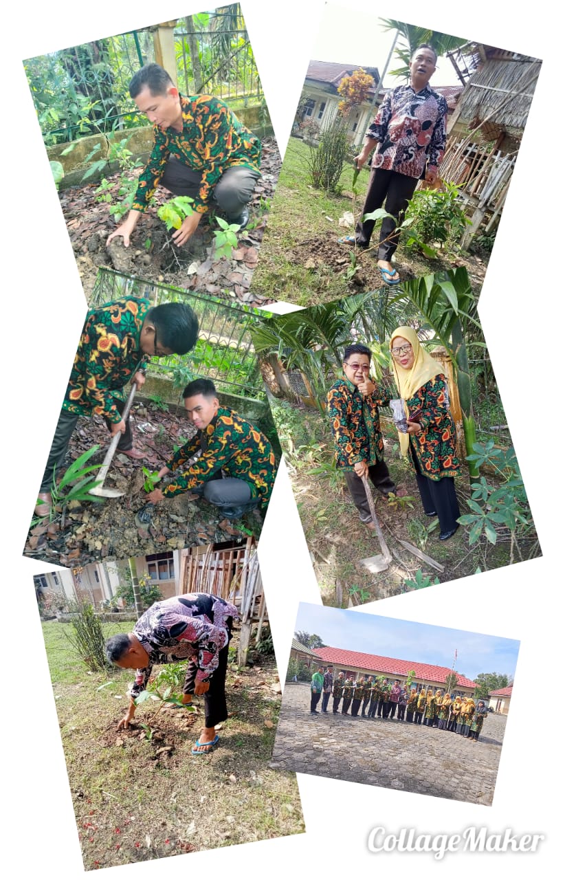 PERINGATAN HARI BUMI : MIN 2 MUARO JAMBI SUKSESKAN  PENANAMAN SEJUTA POHON MATOA DISEKITAR MADRASAH